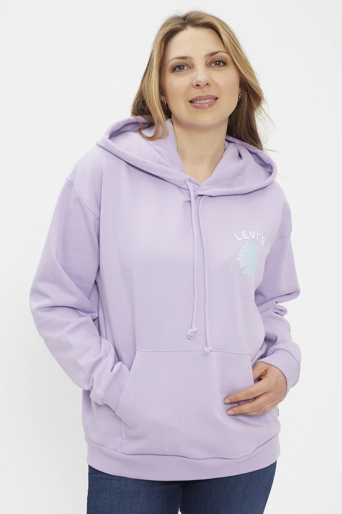 Levi's Plus Size Graphic Salinas Crew Sweat-Shirt Femme - Sweat Authentique Léger Et Confortable