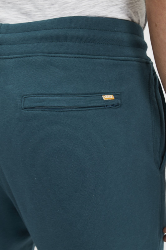 Pantalon de jogging Gold Tab vert homme