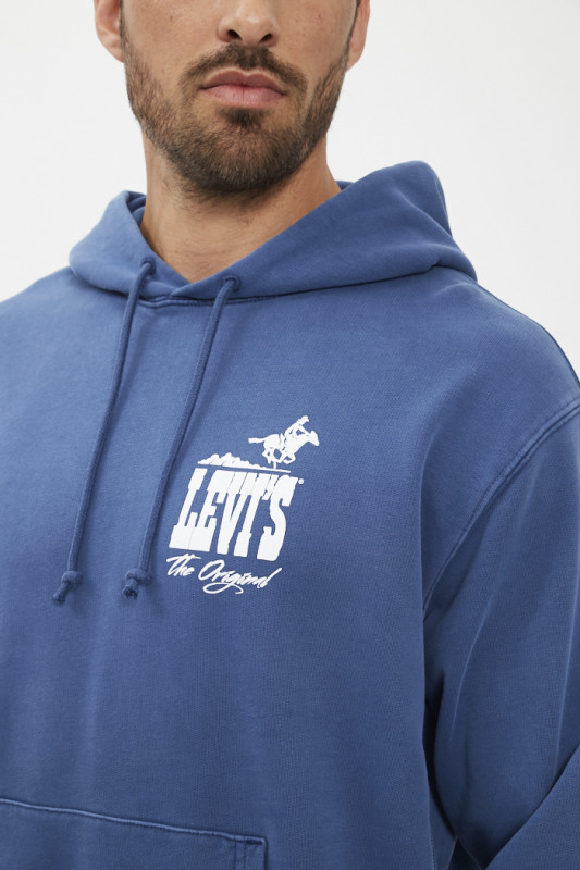 Sweat à capuche graphique Authentic bleu homme