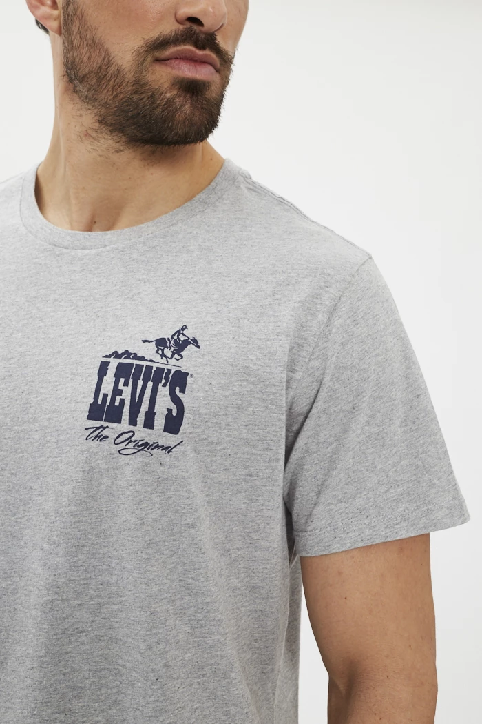 T-shirt Homme Graphique Gris Well Worn - Taille 5XL, 100% Coton, Motif Héraldique - Occasion Très Bon état