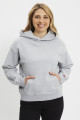 Sweat à capuche gris Heritage