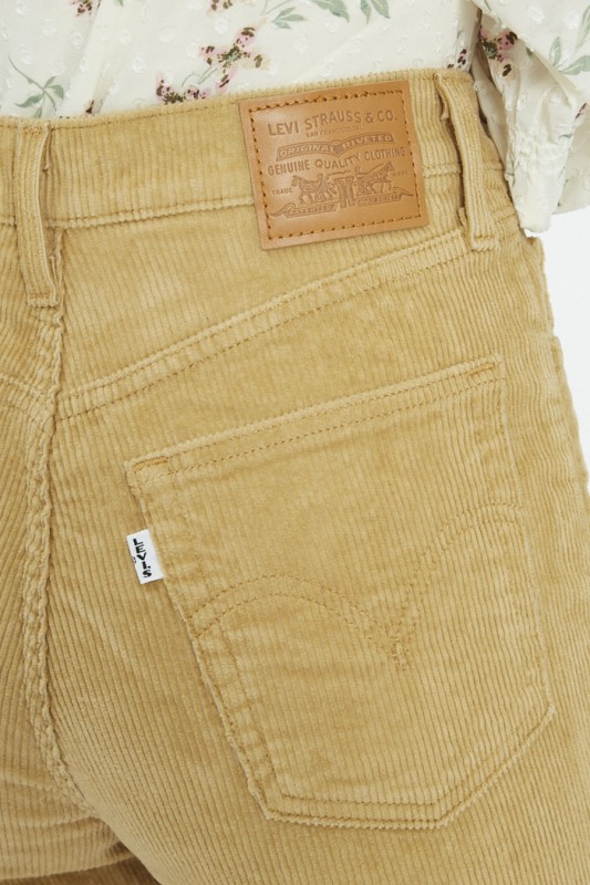 Pantalon ribcage velours